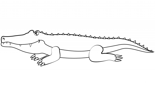 Alligator coloring page image