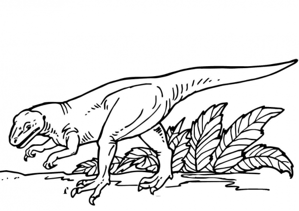 Allosaurus coloring page image