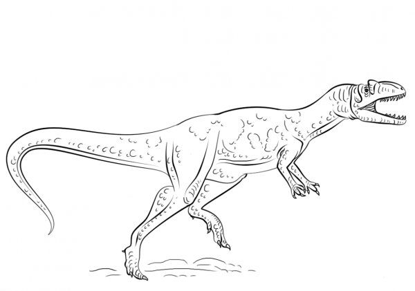Allosaurus dinosaur coloring page image