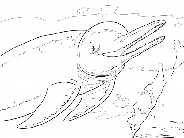 Amazon River Dolphin Boto coloring page image