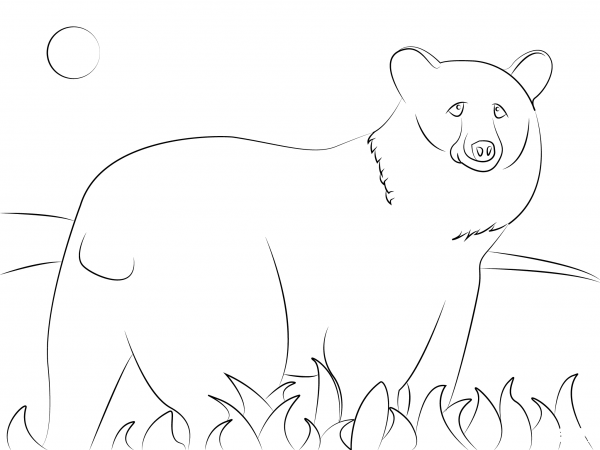 American Black Bear coloring page image