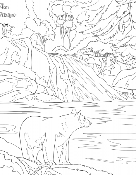 American Black Bear coloring page image