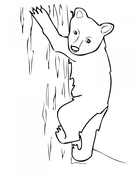 American Black Bear Cub coloring page image