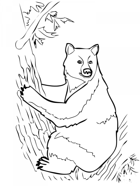 American Black Bear Sits on Tree coloring page image