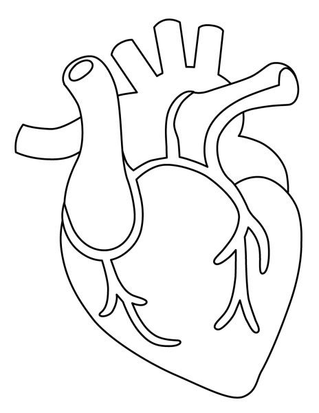 Anatomical Heart Emoji coloring page - ColouringPages