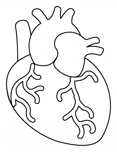 Anatomical Heart Emoji coloring page image