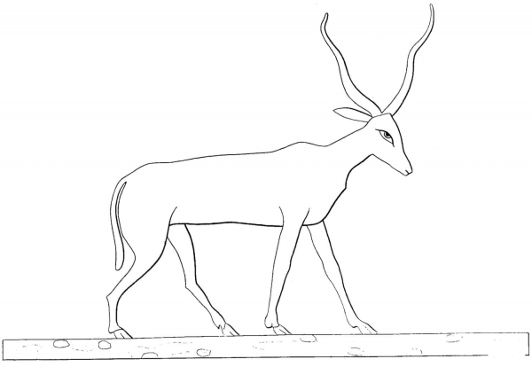 Ancient Egyptian Antelope coloring page image
