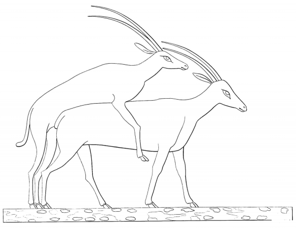 Ancient Egyptian Antelopes coloring page image