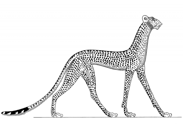 Ancient Egyptian Cheetah coloring page image