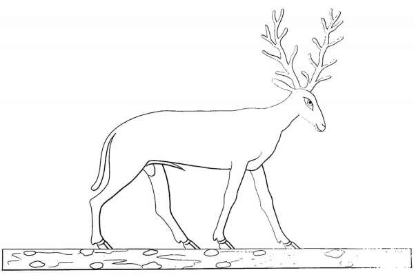 Ancient Egyptian Deer coloring page image