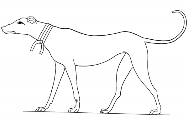 Ancient Egyptian Dog coloring page image
