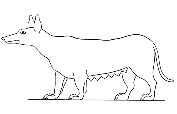 Ancient Egyptian Dog coloring page image