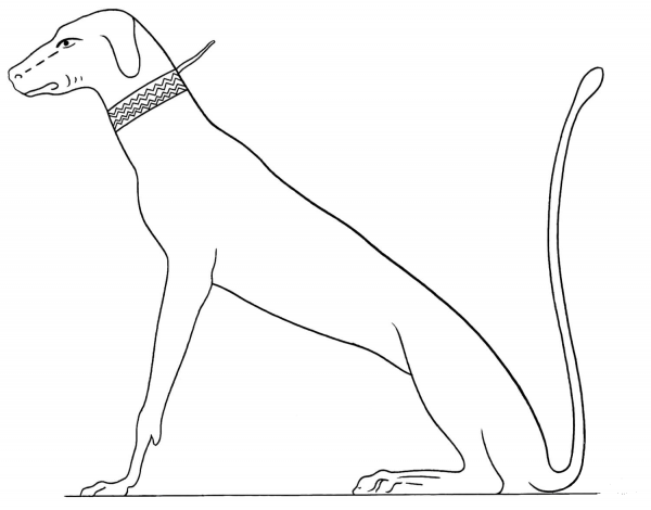 Ancient Egyptian Dog coloring page image