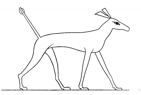 Ancient Egyptian Dog coloring page image