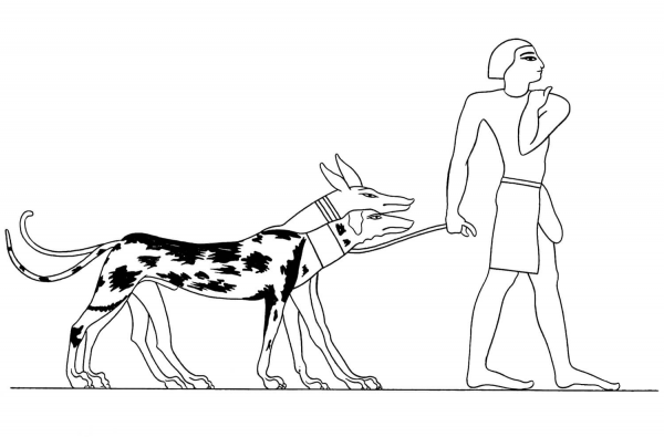 Ancient Egyptian Dogs coloring page image