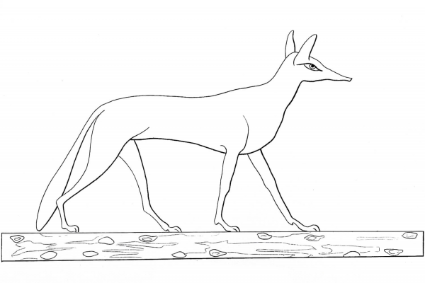 Ancient Egyptian Fox coloring page image
