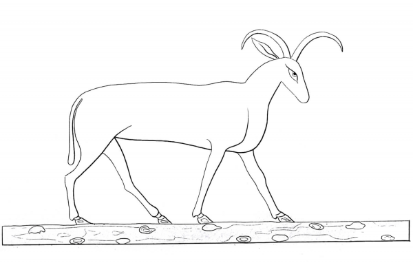 Ancient Egyptian Goat coloring page image