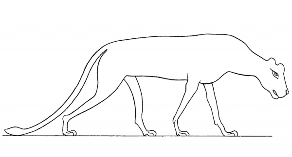 Ancient Egyptian Lioness coloring page image