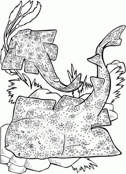 Angel Sharks coloring page image