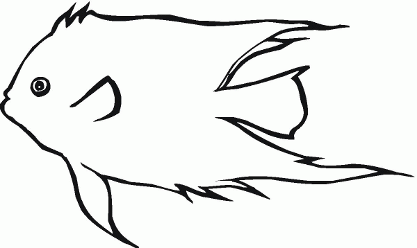 Angelfish 2 coloring page image