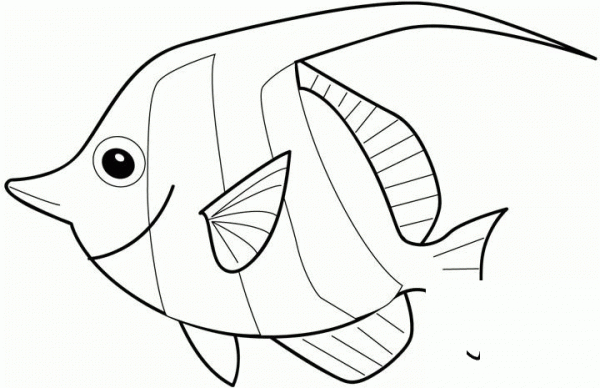 Angelfish coloring page image