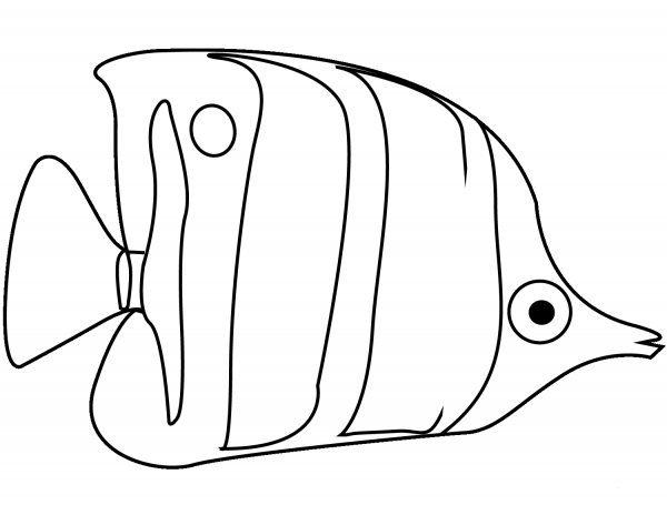 Angelfish coloring page image