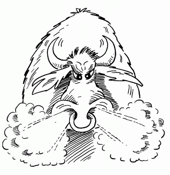 Angry Bull coloring page image