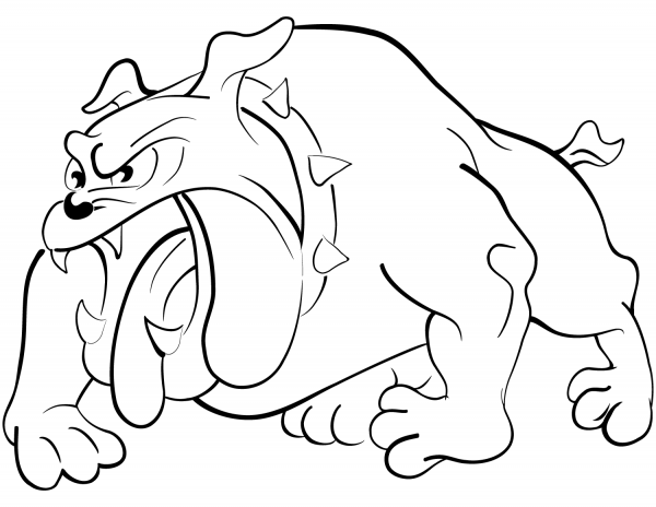 Angry Bulldog coloring page image