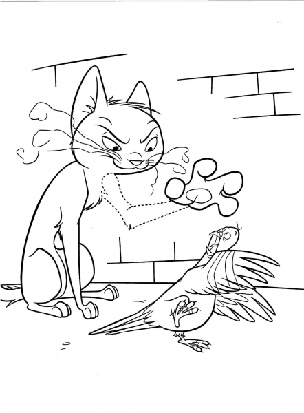 Angry Cat With Dove  coloring page image