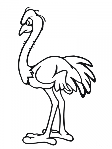 Angry Ostrich coloring page image