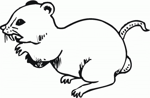 Angry Rat coloring page image