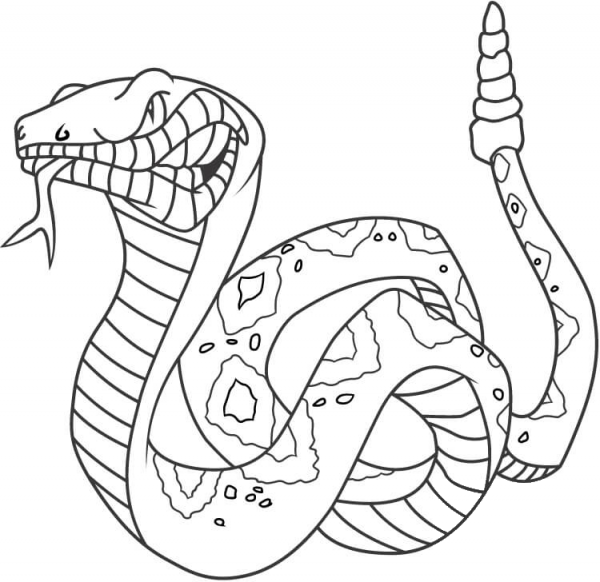 Angry Rattlesnake  coloring page image