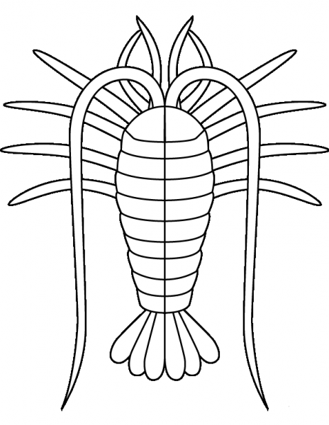 Animal Cancer coloring page image