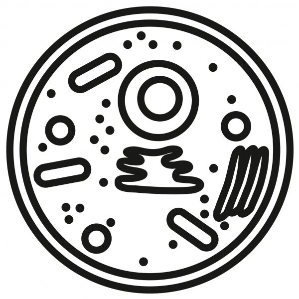 Animal Cell coloring page image