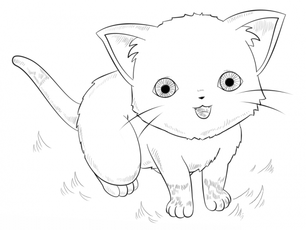 Anime Cat coloring page image