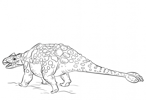 Ankylosaurus dinosaur coloring page image