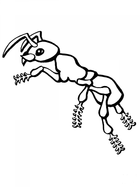 Ant coloring page image