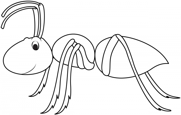 Ant coloring page image