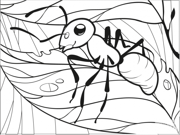 Ant coloring page image