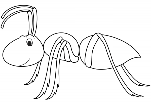 Ant coloring page image