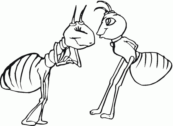 Ant female and ant male coloring page image