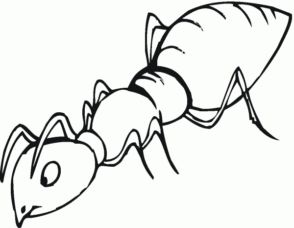 Ant is sniffing coloring page image