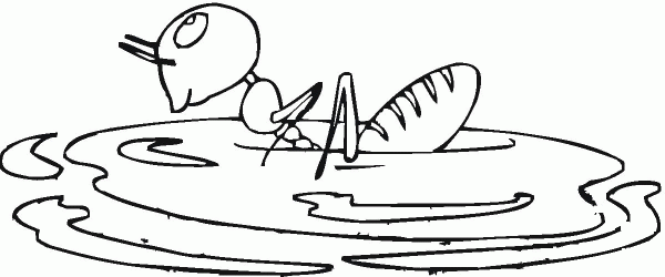 Ant Is Swimming coloring page image