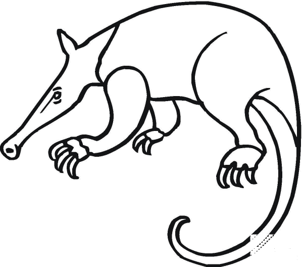 Anteater 16 coloring page image