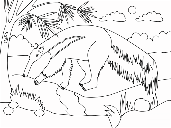 Anteater coloring page image