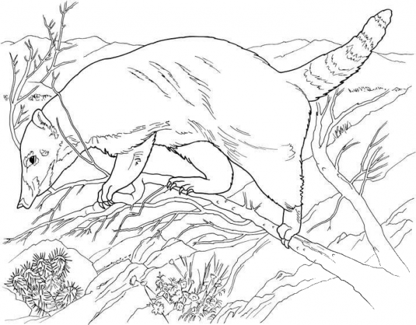 Anteater In Forest coloring page image