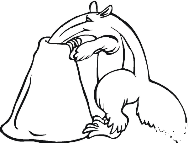 Anteater Is Looking For Food coloring page image