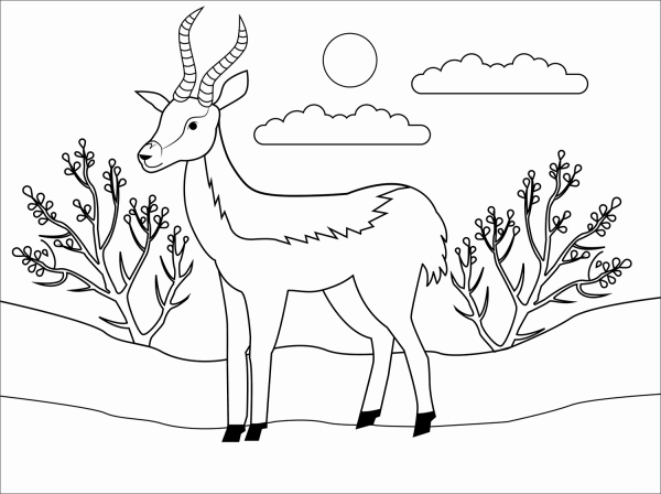 Antelope coloring page image