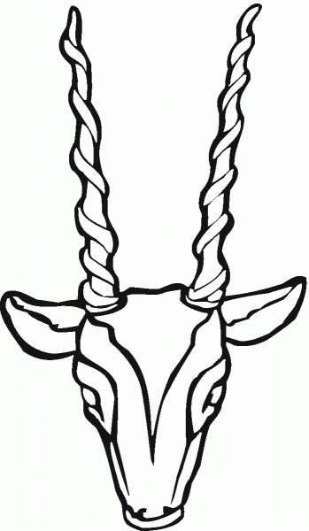 Antelope Head coloring page image