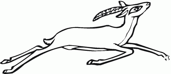 Antelope Jumps coloring page image